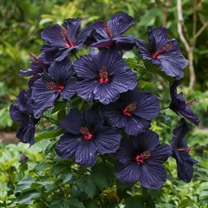 Гибискус Мэджик Момент купить по цене от 699р. в интернет-магазине «Посадика» с доставкой почтой в в Кореновске и по всей России – [изображение №1].